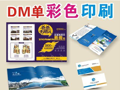  九寨沟单页印刷，色彩搭配简单。